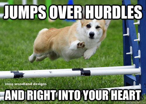 Jumps over hurdles And right into your heart - Jumps over hurdles And right into your heart  Misc