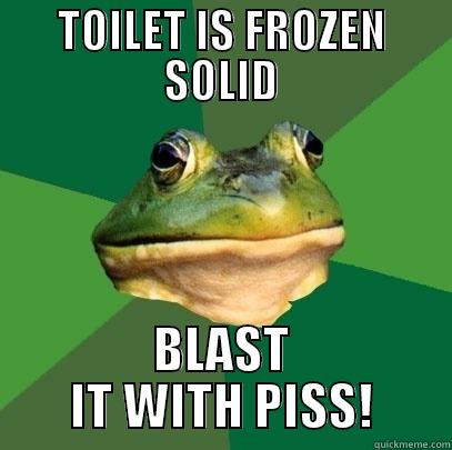 TOILET IS FROZEN SOLID BLAST IT WITH PISS! Foul Bachelor Frog