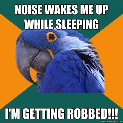 Noise wakes me up while sleeping i'm getting robbed!!!  Paranoid Parrot
