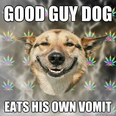 Good Guy Dog Eats his own vomit  Stoner Dog