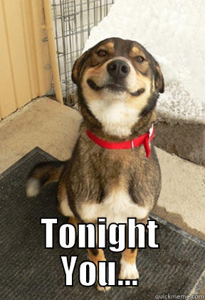 Tonight  -  TONIGHT YOU... Good Dog Greg