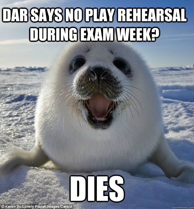 Dar says no play rehearsal during exam week? DIES  Easily Pleased Seal