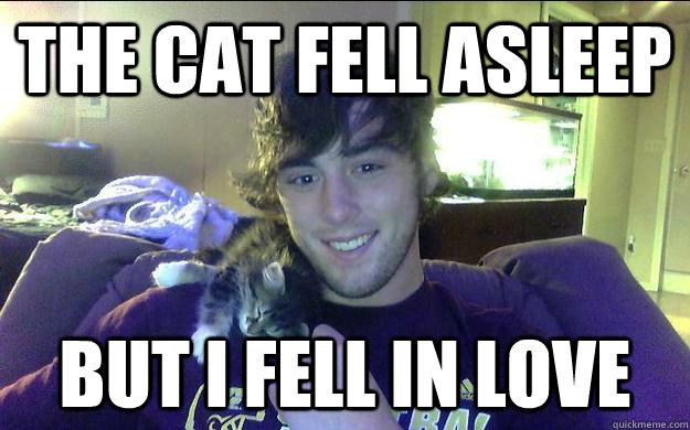 the Cat fell asleep but i fell in love - the Cat fell asleep but i fell in love  Misc