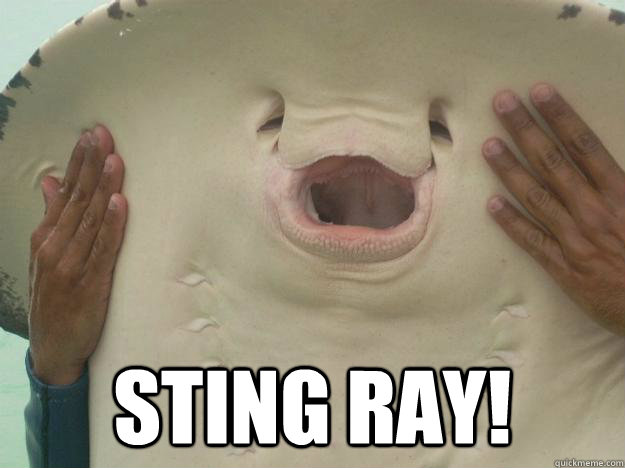  Sting ray! -  Sting ray!  Stingray Smile