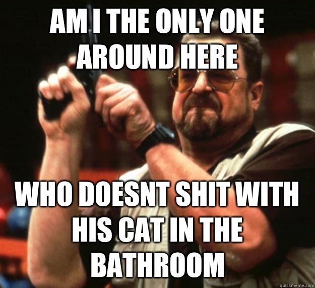 am I the only one around here Who doesnt shit with his cat in the bathroom  Angry Walter