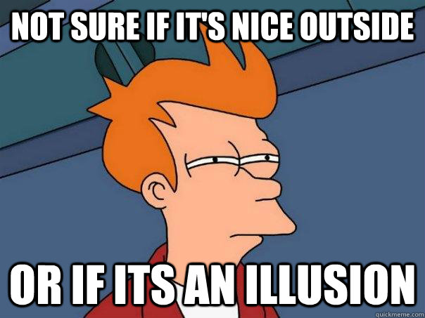 Not sure if it's nice outside Or if its an illusion  Futurama Fry