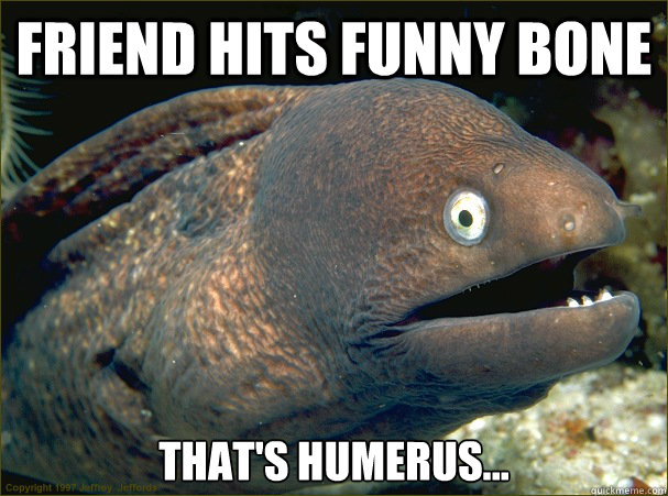 Friend Hits funny bone That's Humerus...  Bad Joke Eel
