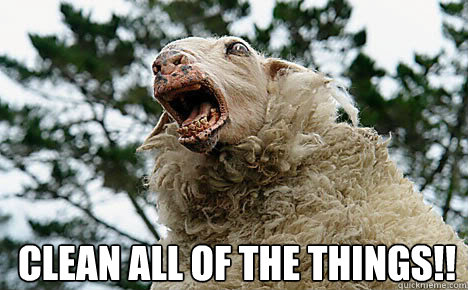  Clean all of the things!!  Meth Sheep