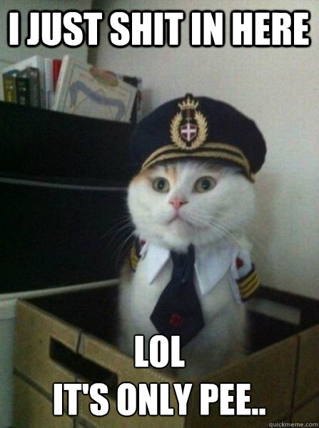 I just shit in here LOL
it's only pee..   Captain kitteh
