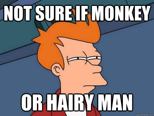 Not sure if monkey Or hairy man  Futurama Fry