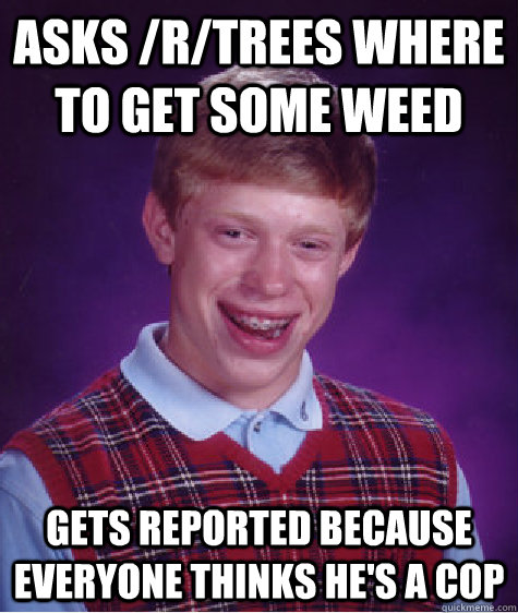 Asks /r/trees where to get some weed Gets reported because everyone thinks he's a cop - Asks /r/trees where to get some weed Gets reported because everyone thinks he's a cop  Bad Luck Brian