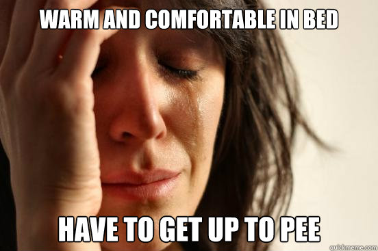 Warm and comfortable in bed have to get up to pee  First World Problems