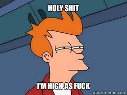 Holy shit I'm high as fuck   Meme