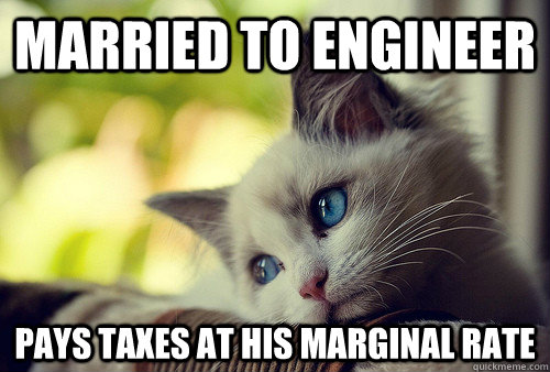 Married to engineer Pays taxes at his marginal rate  First World Problems Cat