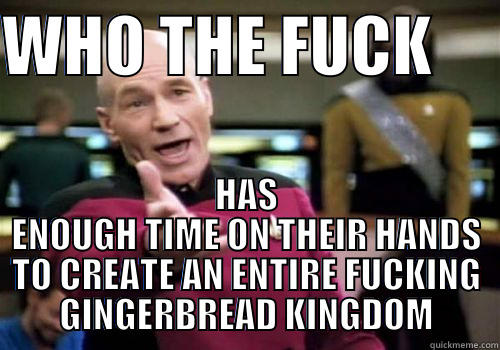 WHO THE FUCK      HAS ENOUGH TIME ON THEIR HANDS TO CREATE AN ENTIRE FUCKING GINGERBREAD KINGDOM Misc