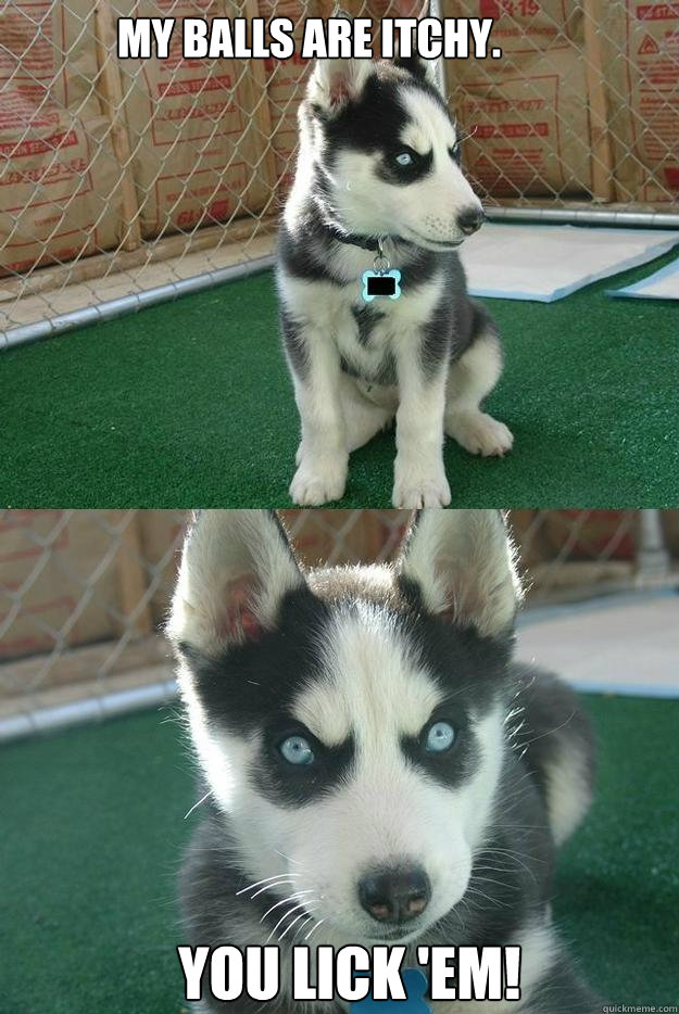 My balls are itchy. you lick 'em!  Insanity puppy