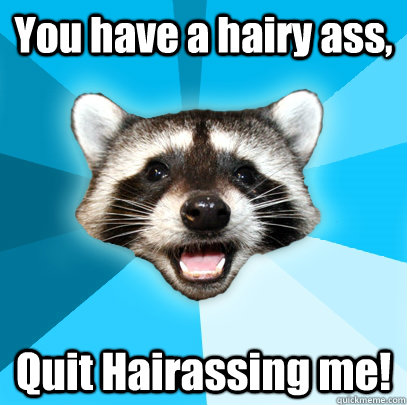 You have a hairy ass, Quit Hairassing me!  Lame Pun Coon