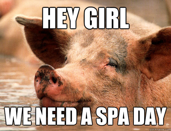 Hey Girl We need a spa day
 - Hey Girl We need a spa day
  Stoner Pig