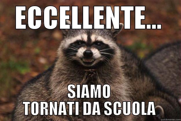 eccellente :) - ECCELLENTE... SIAMO TORNATI DA SCUOLA Evil Plotting Raccoon