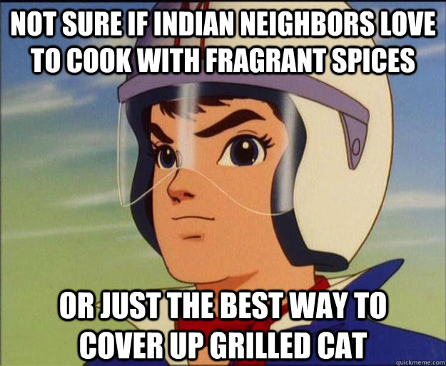 Not sure if Indian neighbors love to cook with fragrant spices Or just the best way to cover up grilled cat  Speed Racist