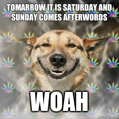 Tomarrow it is Saturday and Sunday comes afterwords Woah  Stoner Dog