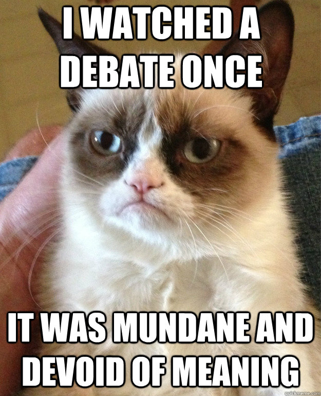 i watched a debate once it was mundane and devoid of meaning - i watched a debate once it was mundane and devoid of meaning  Grumpy Cat