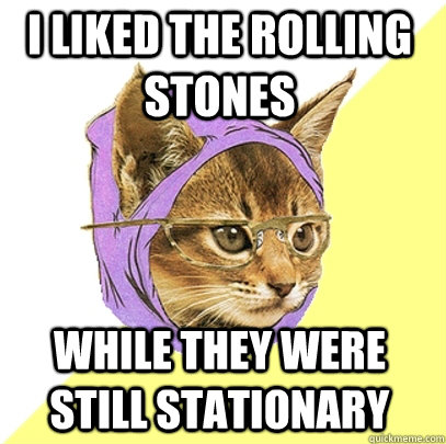 I liked the rolling stones  while they were still stationary  Hipster Kitty