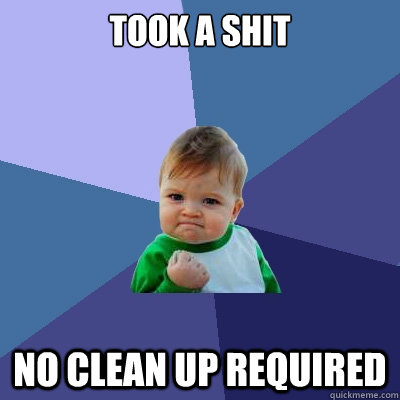 Took a Shit No clean up required  Success Kid