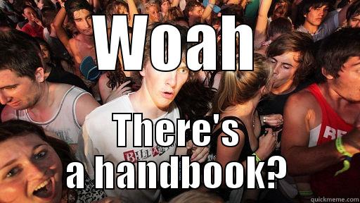 Handbook revelation - WOAH THERE'S A HANDBOOK? Sudden Clarity Clarence