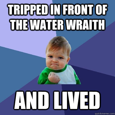 tripped in front of the water wraith and lived  - tripped in front of the water wraith and lived   Success Kid