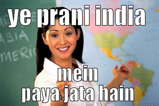 YE PRANI INDIA MEIN PAYA JATA HAIN Unhelpful High School Teacher