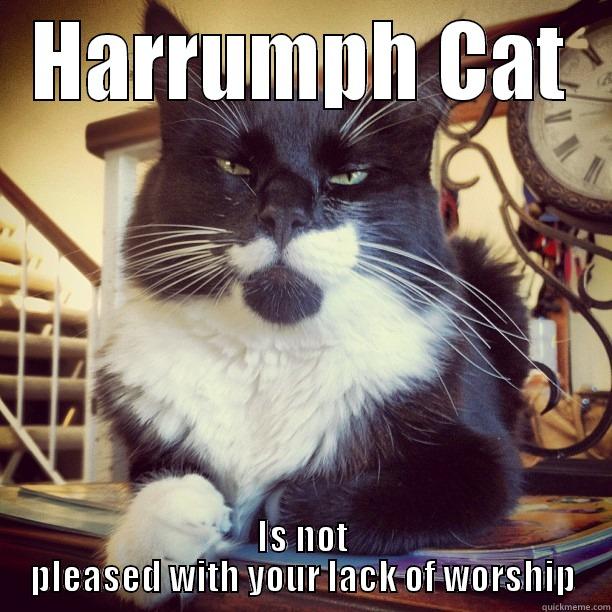 Harrumph Cat - HARRUMPH CAT IS NOT PLEASED WITH YOUR LACK OF WORSHIP Misc