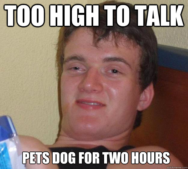 Too High to talk Pets dog for two hours   10 Guy