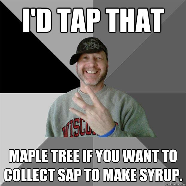 I'd tap that maple tree if you want to collect sap to make syrup. - I'd tap that maple tree if you want to collect sap to make syrup.  Hood Dad