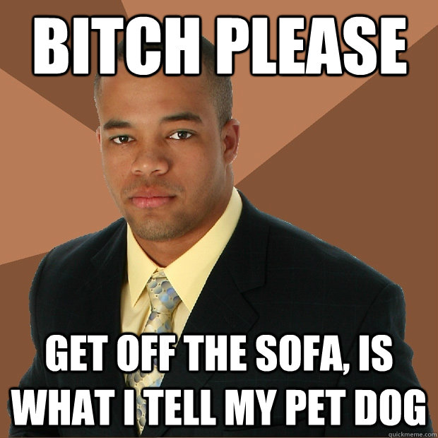 Bitch please get off the sofa, is what I tell my pet dog  Successful Black Man