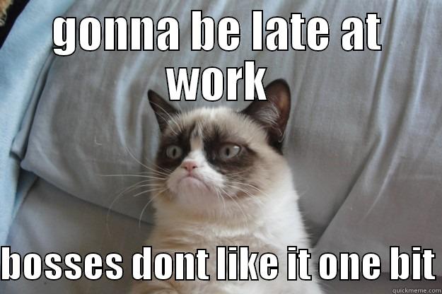GONNA BE LATE AT WORK  BOSSES DONT LIKE IT ONE BIT Grumpy Cat