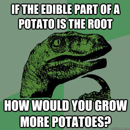 if the edible part of a potato is the root how would you grow more potatoes? - if the edible part of a potato is the root how would you grow more potatoes?  Philosoraptor