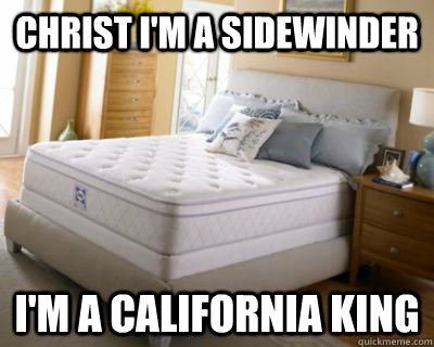 christ i'm a sidewinder i'm a california king - christ i'm a sidewinder i'm a california king  Misc