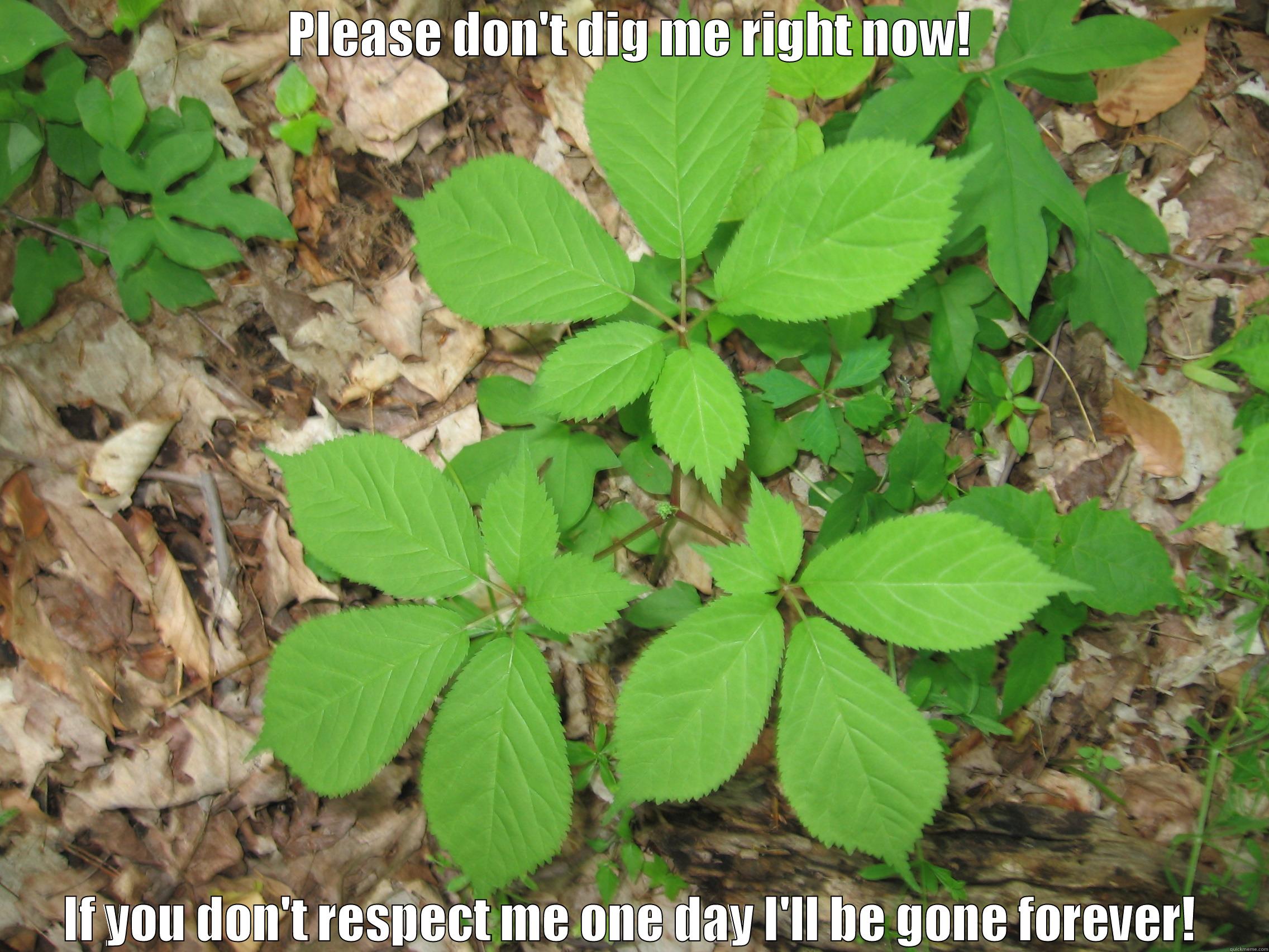 Poachers stink - PLEASE DON'T DIG ME RIGHT NOW! IF YOU DON'T RESPECT ME ONE DAY I'LL BE GONE FOREVER! Misc