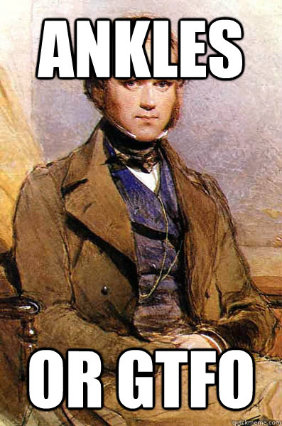 ankles or gtfo - ankles or gtfo  Classy gentleman