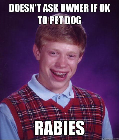 Doesn't ask owner if ok to pet dog Rabies  Bad Luck Brian