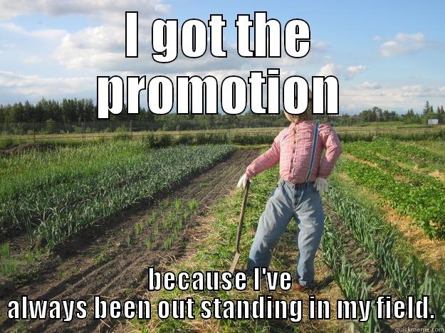 I GOT THE PROMOTION BECAUSE I'VE ALWAYS BEEN OUT STANDING IN MY FIELD. Scarecrow