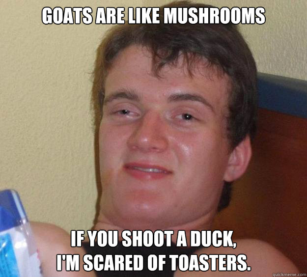 Goats are like mushrooms If you shoot a duck,
I'm scared of toasters. - Goats are like mushrooms If you shoot a duck,
I'm scared of toasters.  10 Guy