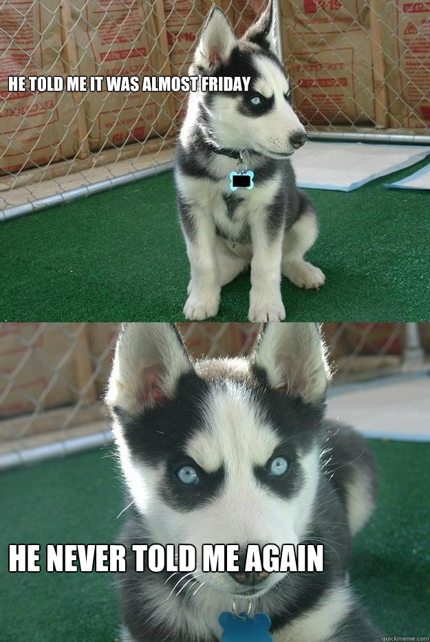 he told me it was almost friday he never told me again  Insanity puppy