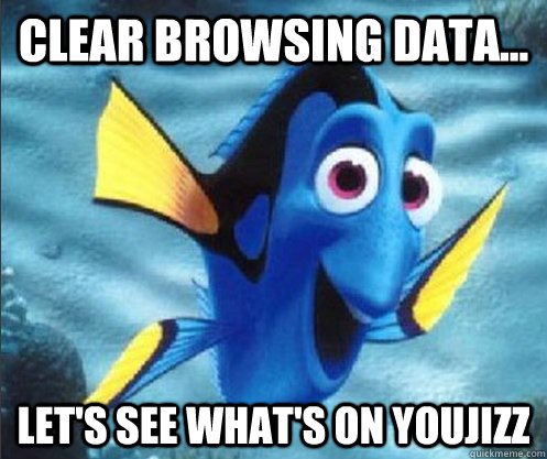 Clear browsing data... Let's see what's on Youjizz  optimistic dory