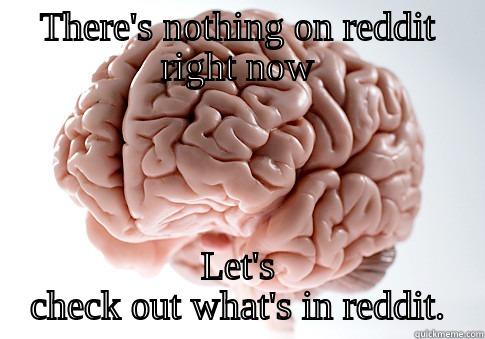 THERE'S NOTHING ON REDDIT RIGHT NOW LET'S CHECK OUT WHAT'S IN REDDIT. Scumbag Brain