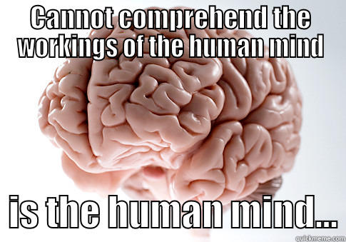 CANNOT COMPREHEND THE WORKINGS OF THE HUMAN MIND   IS THE HUMAN MIND... Scumbag Brain