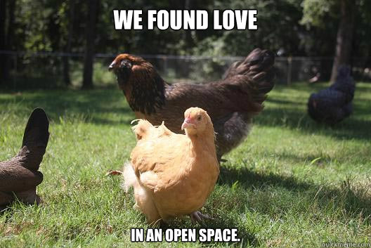 we found love in an open space.   