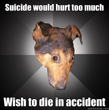 Suicide would hurt too much Wish to die in accident  Depression Dog