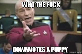 WHO THE FUCK DOWNVOTES A PUPPY - WHO THE FUCK DOWNVOTES A PUPPY  star trek